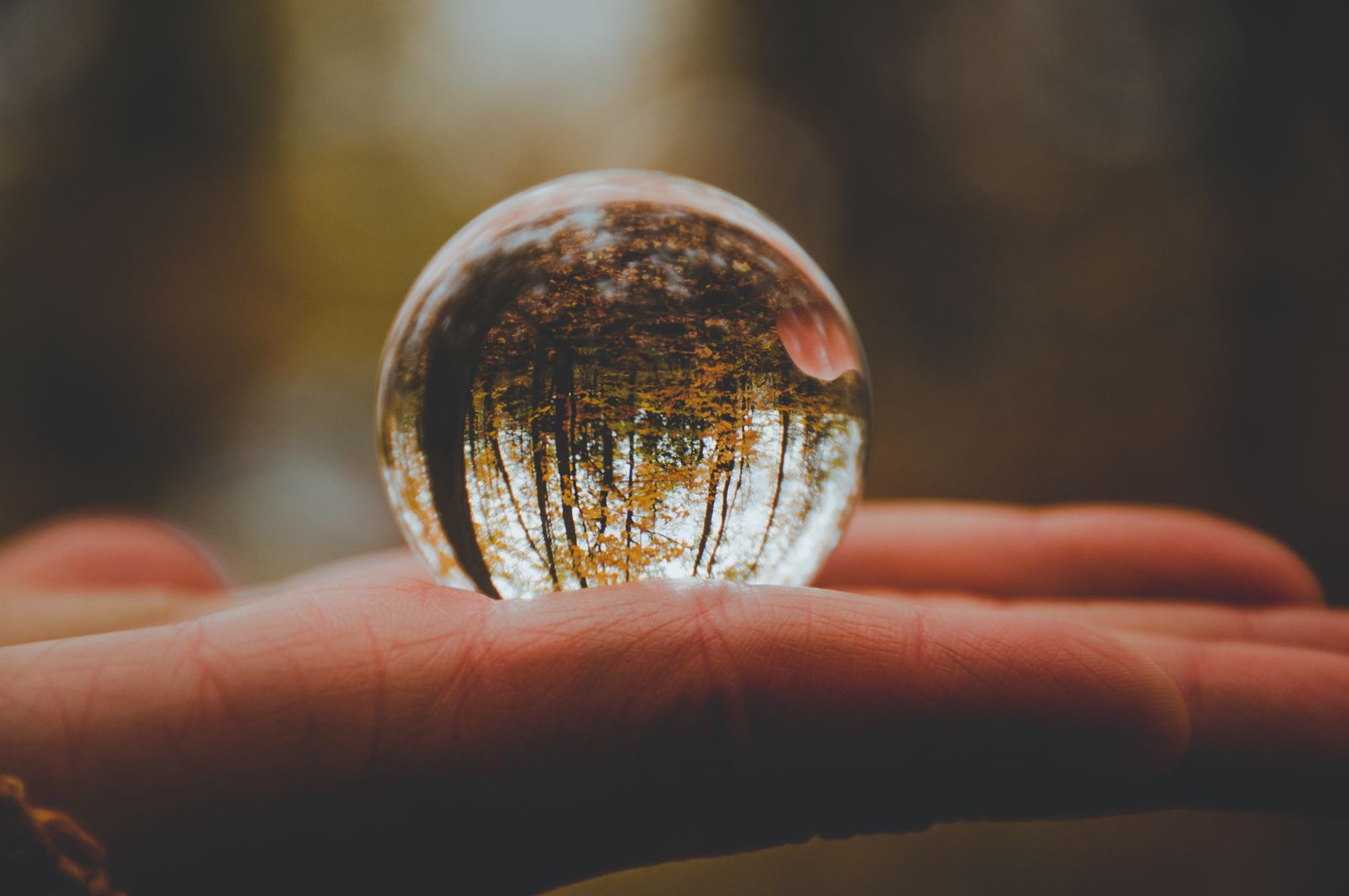 Crystal ball thumbnail